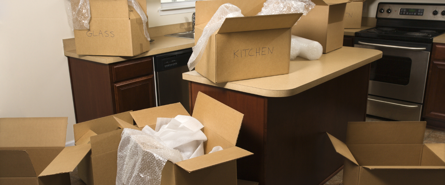 Best Packers & Movers in Udaipur Rajasthan